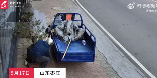 小偷偷万元盆景搬不动砸盆取树 商家：已养护三年多，小偷仍未找到