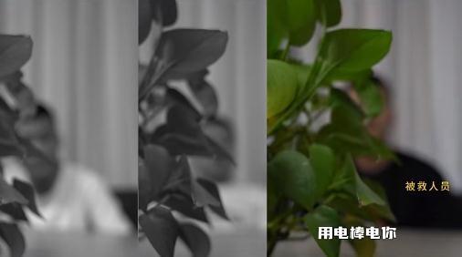 人间炼狱！被骗到缅甸的人都遭遇了什么