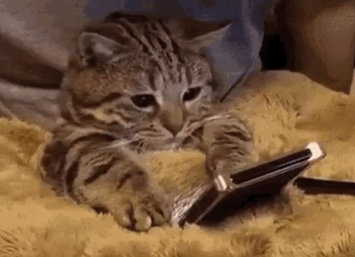 无意识刷手机其实是你太焦虑了 看似松弛实际很焦虑的表现