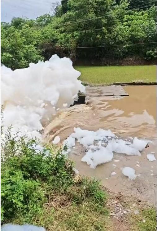 四川綿陽一溝渠突現大量泡沫 環(huán)保部門已取樣檢測