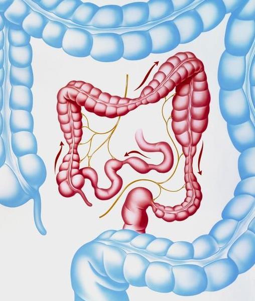 每天都吃蔬菜却还便秘?这4个原因易诱发便秘,建议对症治疗