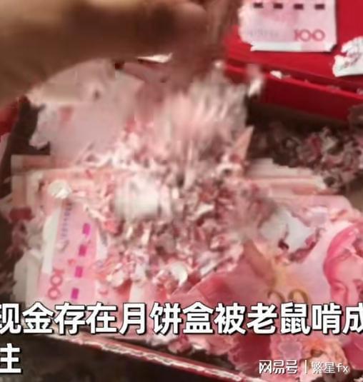 老人积蓄被老鼠啃成渣 一部分百元大钞被老鼠咬的面目全非