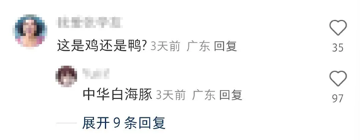 “大湾鸡”漏气被迫下班 从乌龙到顶流