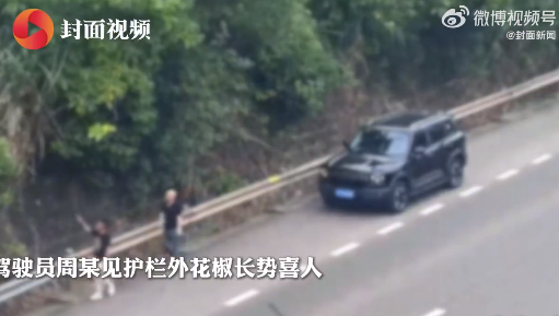 司机高速停车采花椒被罚200元 