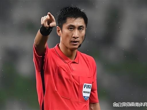 马宁怒怼巴拉圭教练 捍卫裁判尊严