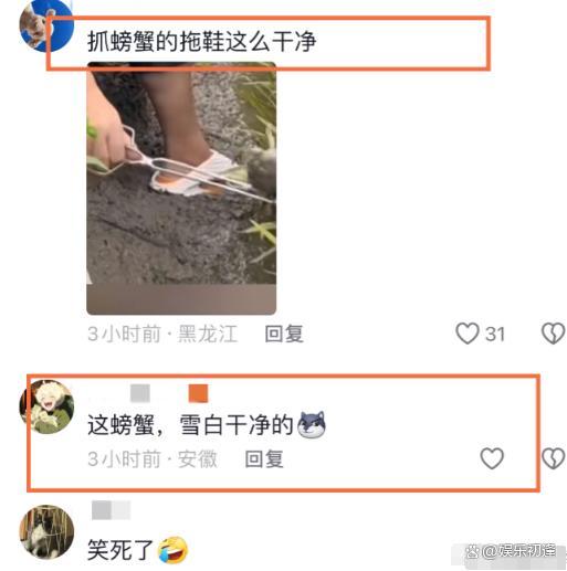 东北雨姐算塌房了吗 农业网红信任危机