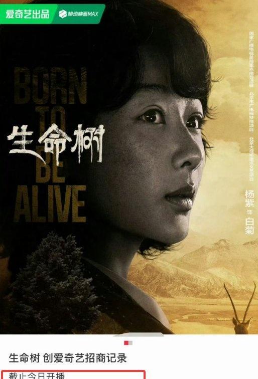 人命树收视率第二集就断崖跌 杨紫逆袭背后的机密