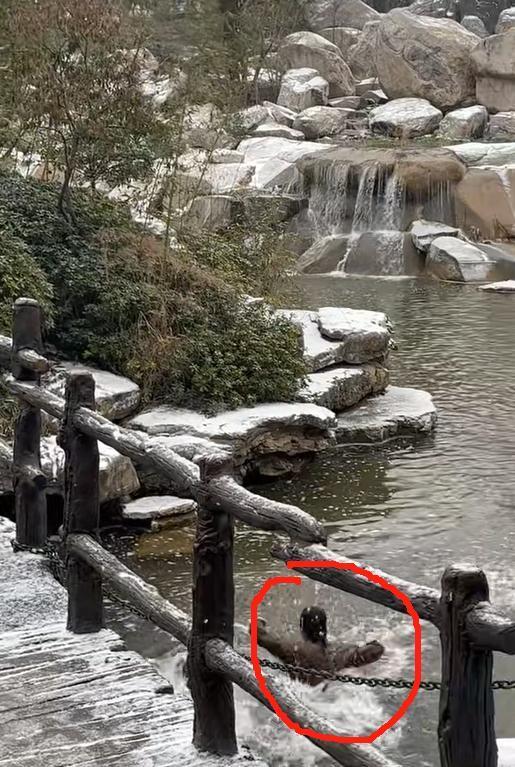 听劝不让演员冒雪跳水?景区回应 安全与文化拉锯战