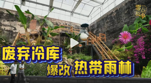 两岸同胞共助乡村振兴！台商父子把废弃冷库爆改热带雨林