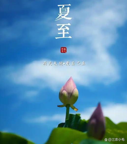 “过了夏至节，夫妻各自歇”啥意思？