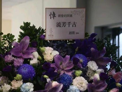 秦岚蒋勤勤等艺人为琼瑶花葬奉花 缅怀一代文坛巨匠