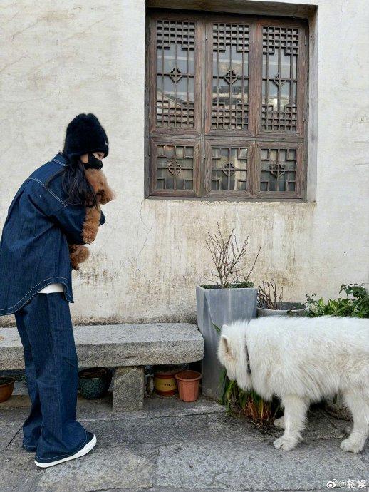 杨紫在宏村发来落日明信片 带着piupiu打卡美景