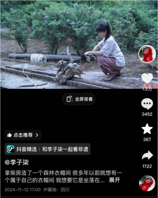 李子柒赛道证明内容为王