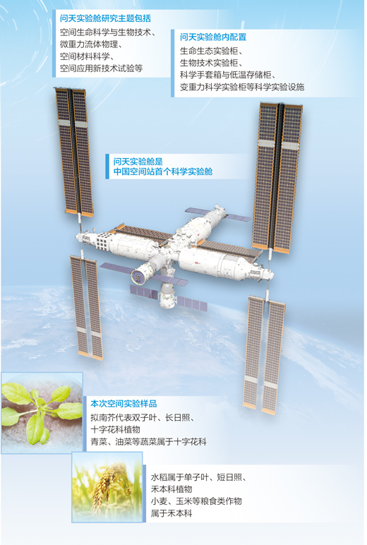 在中国空间站种植物（科技自立自强）