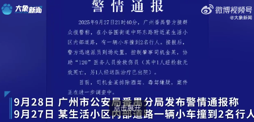 律师解读学生校内被撞身亡各方责任：司机或涉两个罪名