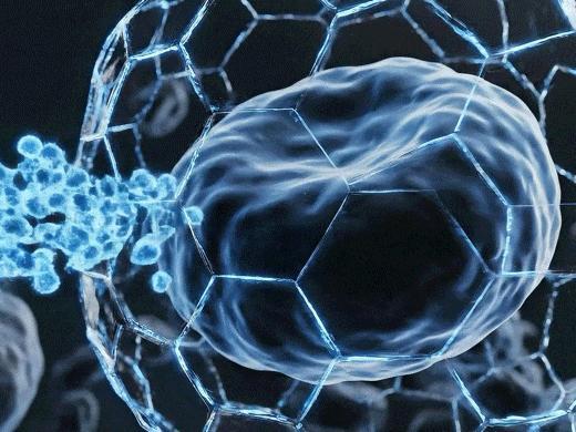 中国在攻克癌症免疫耐受上有新突破 新技术让肿瘤细胞“现形”