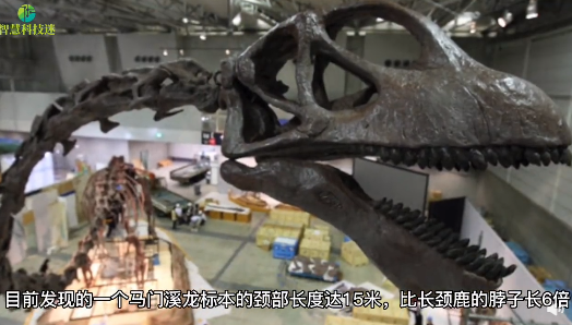 长得太高也不好！科学家在中国发现脖子最长恐龙