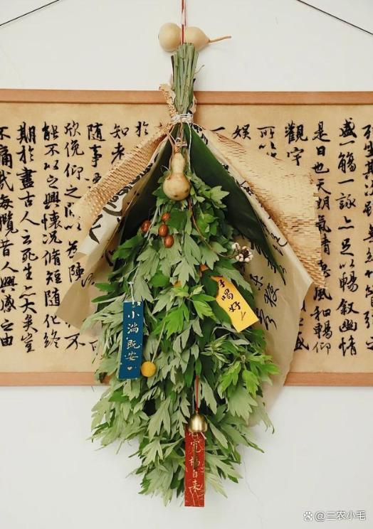 端午掛艾草有講究，掛左邊還是右邊,？一文說清楚 千年習(xí)俗的智慧
