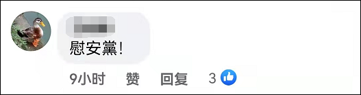 又媚日？台当局删除“慰安妇”补偿费