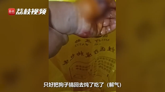 男子被恶狗咬伤后徒手将狗掐死