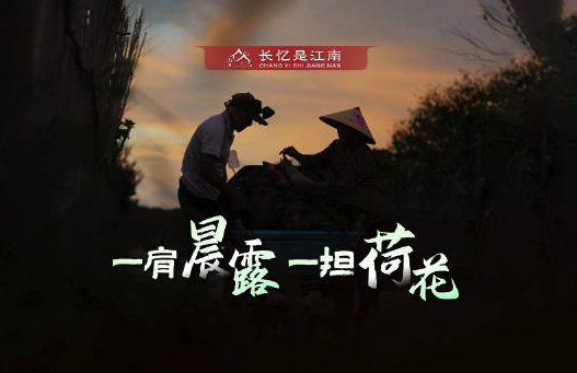 荷花香，荷包鼓！阿婆凌晨挑担坐公交进城卖荷花