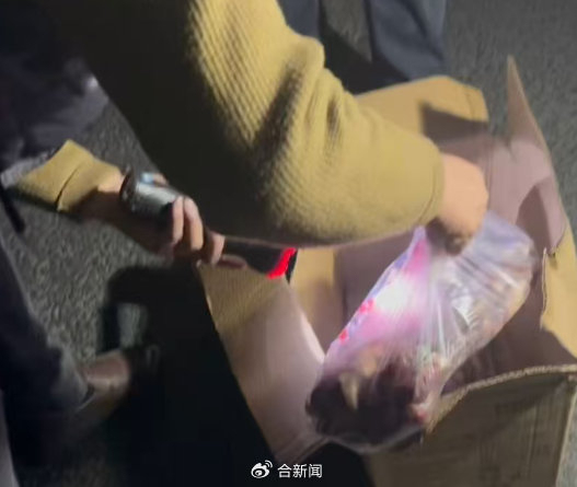 远嫁女子回应被货车司机老爸投喂