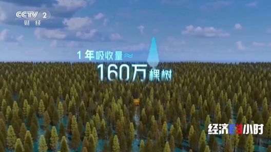 中國算力基建開辟海上賽道
