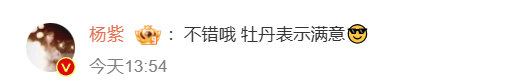 杨紫回应李现答应牡丹 剧照互动引关注