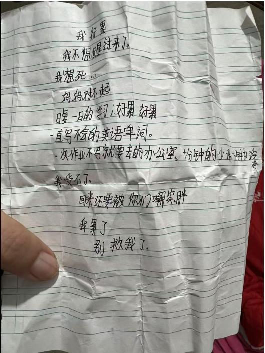 12岁学生自杀案将二审 母亲寻求真相