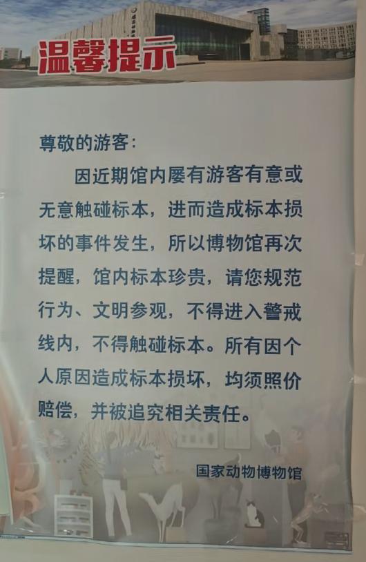 视频 9次被咬致残者捐赠标本遭毁 家长不当行为引发谴责