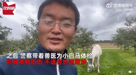 西班牙回中国？男子骑马回国被多人举报虐待动物