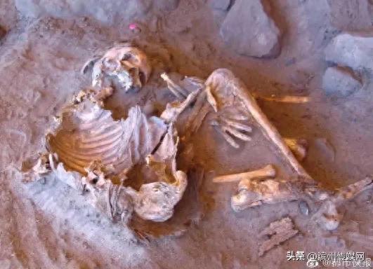 撒哈拉沙漠的木乃伊上查出全新DNA