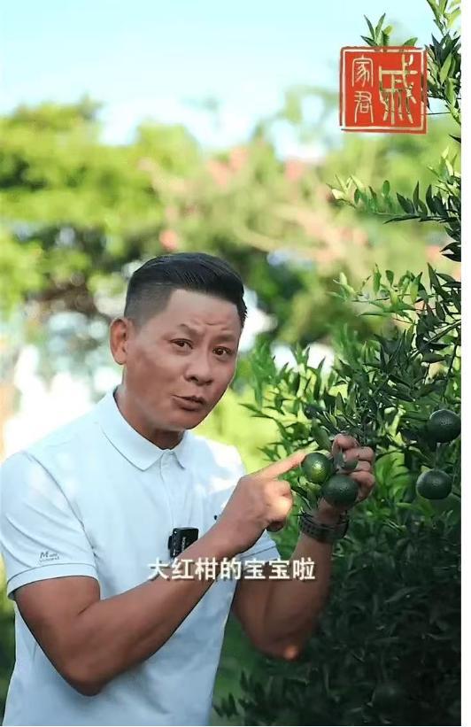 林敬刚自曝拜师万梓良内幕 背后故事揭晓