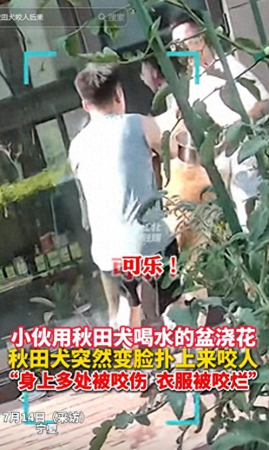 朋友用狗喝水的盆浇花被狗撕咬 主人透露更多
