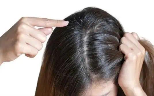 白发长在哪，病在哪出？长在前额、两鬓、后脑勺，分别暗示什么？