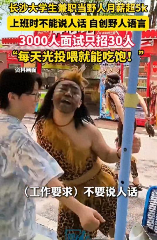 大學(xué)生兼職當(dāng)野人月薪超五千