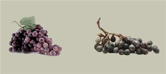 这串烂葡萄竟是古人用玻璃吹的 宋代匠艺惊艳至今