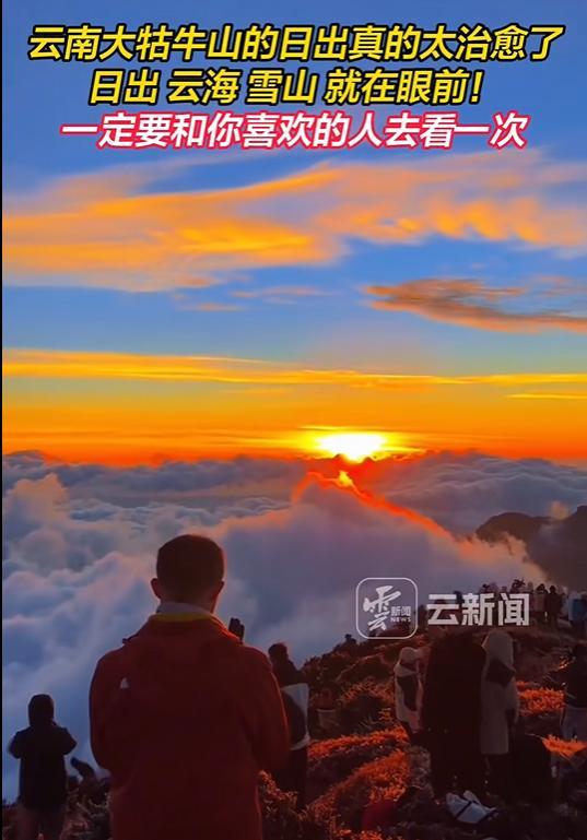 游客为赏日出在山顶纵火取暖 高山杜鹃受损引关注