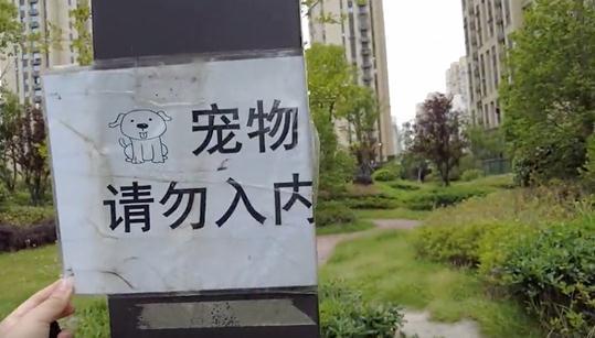 6岁男孩被打成脑震荡后续：打人者已被采取刑事强制措施