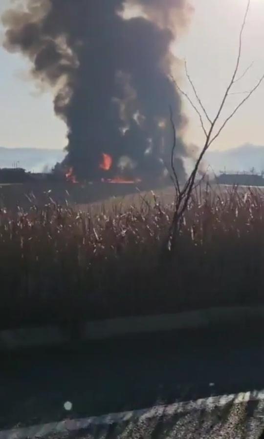 韩国客机撞墙起火事故已致28人死亡 疑似鸟群冲撞所致