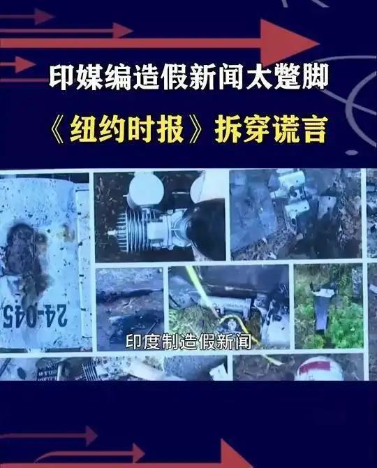 美日韩给了印度宣讲团什么待遇 全球碰壁遭群嘲