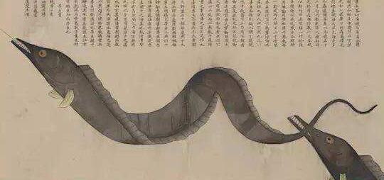 海鮮在古代居然叫做“海錯”,，只有王公貴族才能享用,！從《桃花映江山》中看古代美食！