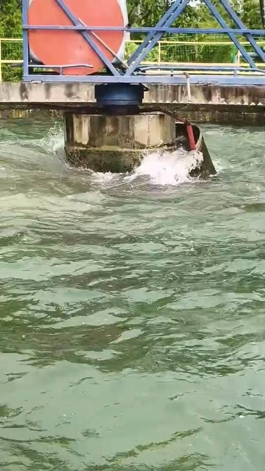 菲律宾强震 祖母拽窗帘护孙
