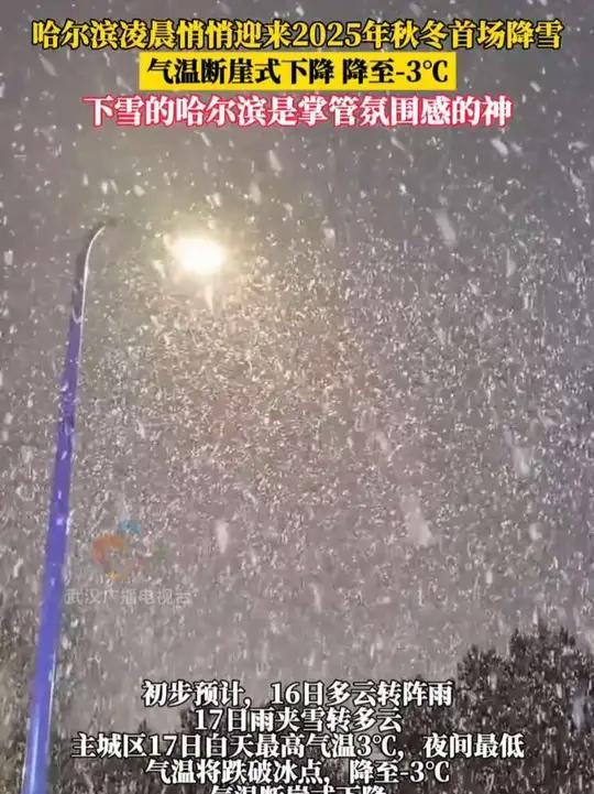 哈尔滨迎来冬日首场降雪 当地气温将断崖式降至-3℃