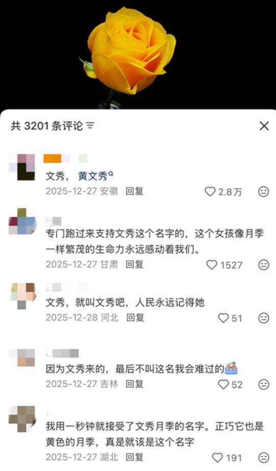这朵黄月季叫“文秀” 致敬时代楷模