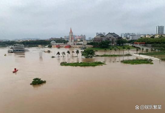 官方辟谣越南鸭子随洪水漂流至广西