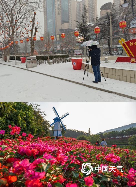 冷暖两重天 北方落雪南方赏花 南北景致别样美