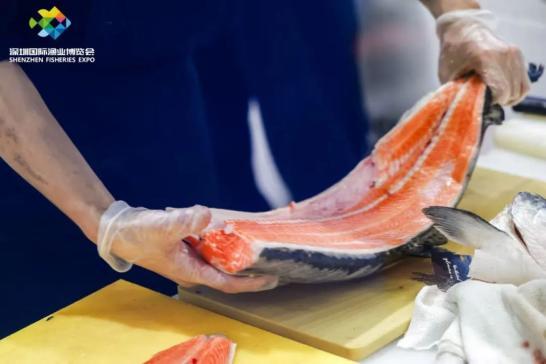 深圳漁博會現(xiàn)800斤金槍魚 深海美味引關注