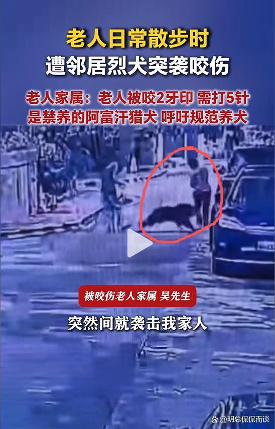 老人散步被邻居家烈犬咬伤 禁养犬惹祸引发关注
