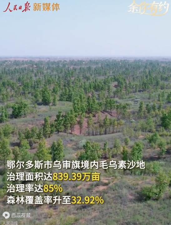 中国人让毛乌素荒沙变林海 绿色奇迹再现